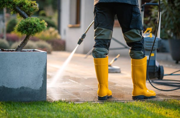 Best Commercial Pressure Washing  in Pirtleville, AZ